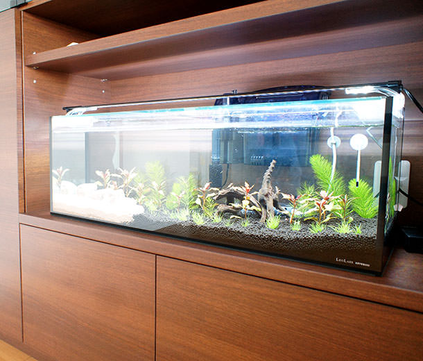 �����ǖʎ��[�Ƌ�